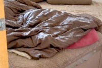 朝、名前を呼んでも起きない元野犬→『布団』をめくってみたら…もう山には戻れない『まさかの光景』が141万再生「野性味なくて草」「顔がｗ」