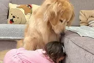 1歳の女の子が『大型犬が落ち込んでいる』と察した結果→言葉の壁を超えた『尊い光景』が11万再生「なんて優しいんだ…」「幸せが溢れている」