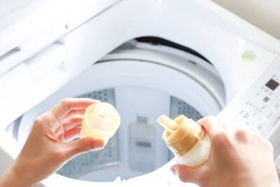 犬の『ベッド』やってはいけない洗い方５選　清潔に保つためのお手入れ方法までご紹介