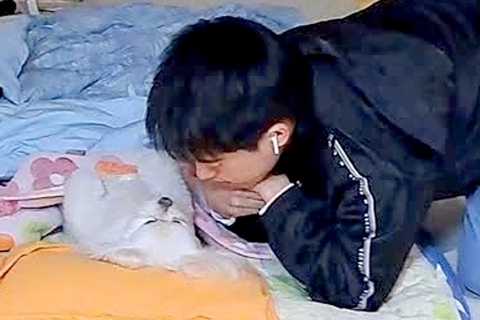 バイト前の息子が『犬を寝かしつけた』結果→家を出る時間が迫っても…愛情に溢れた光景が338万再生「離れたくない可愛さ」「どこも行けんｗ」