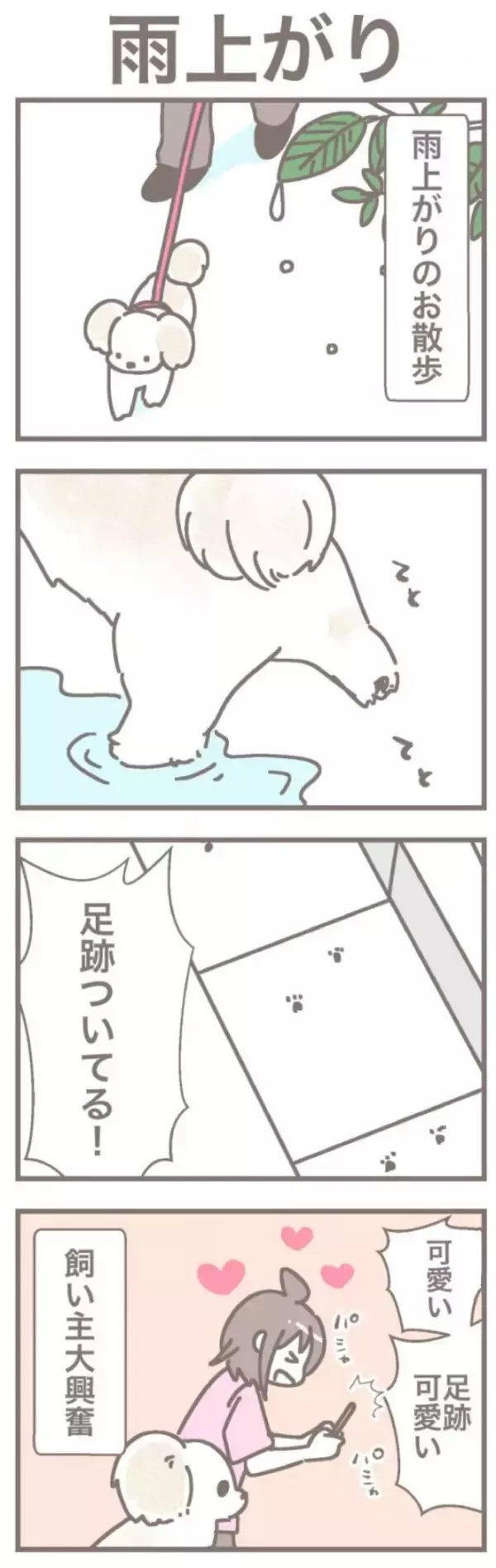 うちの王様にはどうしても抗えない【第362話】「雨上がり」