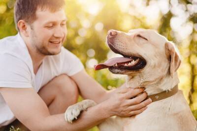 犬が『悲しい』と思っているときにする行動5選　愛犬を安心させるために飼い主がすべき接し方とは？