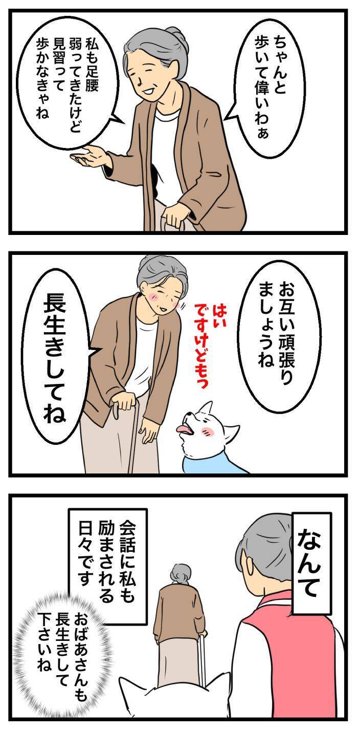 ちーちゃんですけどもっ【第359話】「お散歩中の会話」