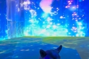 『最新式のドッグラン』にきた犬→『喜ぶかな』と思ったら…予想と違いすぎる『絶望の表情』が62万再生「背景との対比ｗ」「ごめんけど可愛すぎ」
