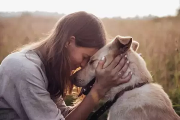 飼い主が忘れてはいけない犬への『大切な気持ち』8つ　日々の暮らしに慣れすぎてしまうと起こることとは？
