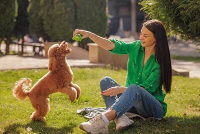 飼い主が忘れてはいけない犬への『大切な気持ち』8つ　日々の暮らしに慣れすぎてしまうと起こることとは？