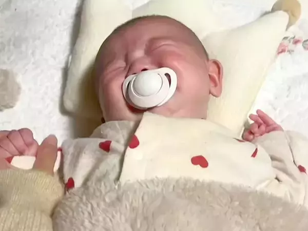 号泣する赤ちゃんをあやしていたら、犬が靴下を…『マルチタスクすぎる状況』が面白すぎると60万再生「情報量ｗｗ」「赤ちゃんふたりいて草」