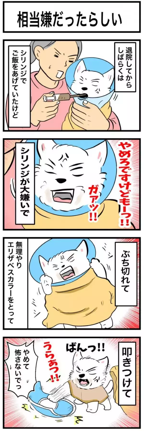 ちーちゃんですけどもっ【第340話】「相当嫌だったらしい」