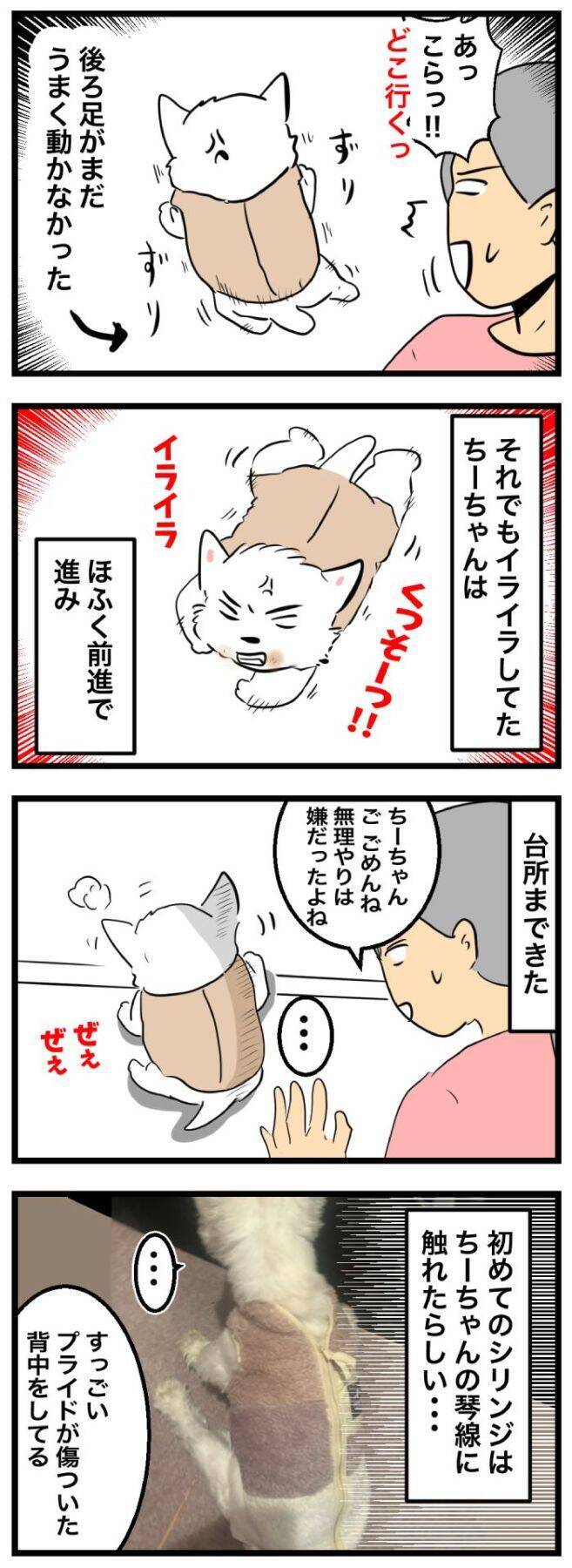 ちーちゃんですけどもっ【第340話】「相当嫌だったらしい」