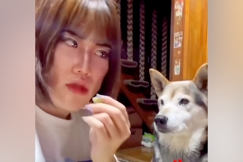 『コンビ結成何年目ですか？』犬のオヤツを食べる女性→お笑い芸人顔負けな『掛け合い』が119万再生「どう見ても台本ありｗｗ」「おもろすぎ」