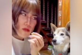 『コンビ結成何年目ですか？』犬のオヤツを食べる女性→お笑い芸人顔負けな『掛け合い』が119万再生「どう見ても台本ありｗｗ」「おもろすぎ」