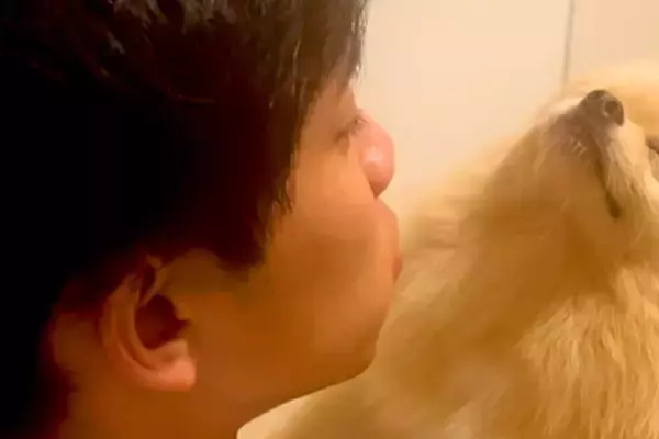 おしっこ失敗した犬が『パパに怒られた』結果→寝たふりをして…まさかの『表情』が329万再生「どこで覚えたん？ｗｗ」「薄目開けてて草」