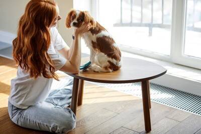 犬が『本気で嫌』だと思っているサイン4選　良かれと思ってやっている行動が愛犬に不快感を与えていることも…