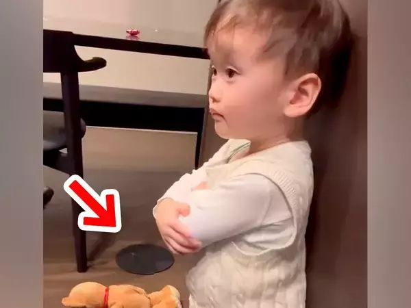 小さな男の子がお皿を割ったので叱ったら、大型犬が間に入って…愛に溢れた『ボディーガード』が30万再生「いい兄貴」「まとめてハグしたい」