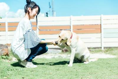 犬が大好きな『食べ物』7選　栄養価が高く、与えたほうがいい食材や避けるべきモノまで