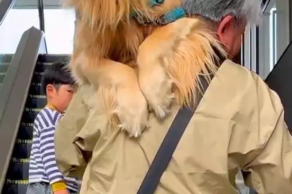 アウトレットで『エスカレーター』を怖がる大型犬→仕方ないので抱っこをして…人間の子どものような光景に「甘えん坊さん」「パパお疲れさま」の声