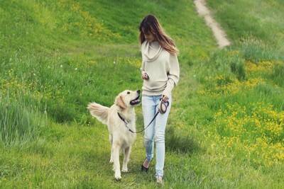 犬が『得意げな表情』をみせる心理5つ　誇らしそうな顔をする理由や飼い主がすべき対応まで