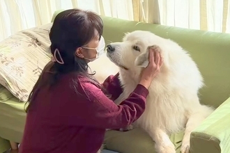 お風呂が嫌すぎて駄々をこねる超大型犬→おばあちゃんが誘ってみた結果…見事な作戦と『まさかの表情』に反響「ばあば最強」「家族みんな可愛い」