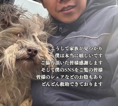 能登半島地震の津波で崩壊した家の中『家族の帰りを待ち続けた犬』→保護は難航して…涙腺崩壊する結末が20万再生「家を守ってたんだね」と感動