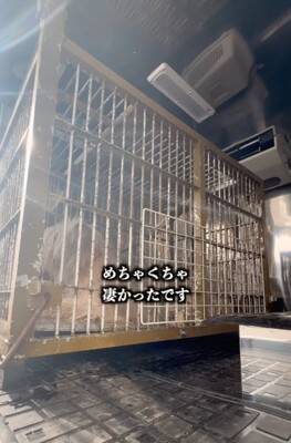 能登半島地震の津波で崩壊した家の中『家族の帰りを待ち続けた犬』→保護は難航して…涙腺崩壊する結末が20万再生「家を守ってたんだね」と感動