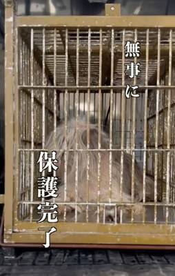 能登半島地震の津波で崩壊した家の中『家族の帰りを待ち続けた犬』→保護は難航して…涙腺崩壊する結末が20万再生「家を守ってたんだね」と感動
