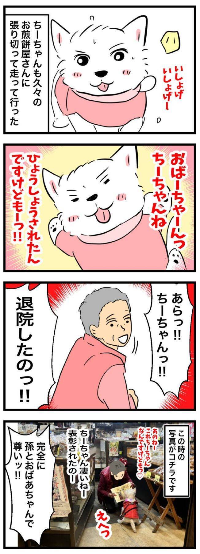 ちーちゃんですけどもっ【第348話】「ちーちゃんのおばあちゃん」