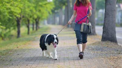 『モラルがない』と思われる犬の飼い主の行動５選　周りから軽蔑される絶対NG行為とは