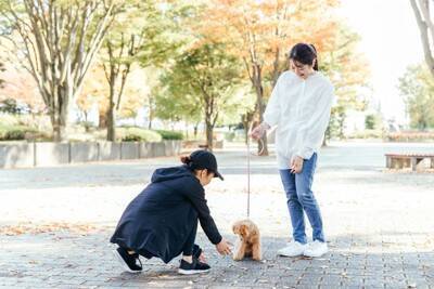 『モラルがない』と思われる犬の飼い主の行動５選　周りから軽蔑される絶対NG行為とは