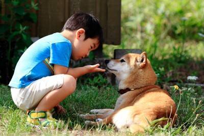 犬を安心させる飼い主の『声のトーン』とは？愛犬に話しかけるときに意識すべきポイントまで