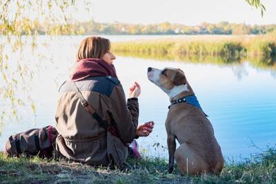 犬を安心させる飼い主の『声のトーン』とは？愛犬に話しかけるときに意識すべきポイントまで