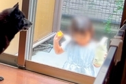 10日間、女の子と犬が離れ離れになった結果→帰宅時、窓越しに姿が見えた瞬間…素敵すぎる『再会の光景』が68万再生「よほど会いたかったんだ」