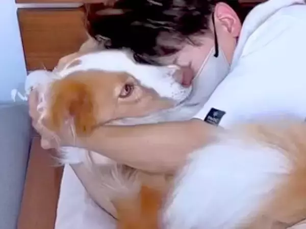 病気になり、家族と隔離生活を開始→体調不良を察した犬が…尊すぎる『愛にあふれた行動』が111万再生「心配してる」「気の毒だけど羨ましい」