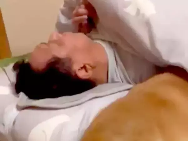布団で寝ているお父さん→隣に柴犬が入って…あまりにも人間すぎる『寝方』に1万いいね集まる「長年連れ添った夫婦感ｗ」「羨ましすぎる」