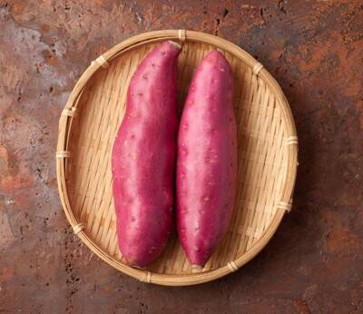 犬が食べると『消化不良』引き起こすモノ５選　意外と知られていない食べ物や誤食した場合の応急処置まで