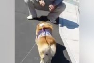 『工事現場のおじさん』と遭遇した犬→出会ったばかりとは思えない『まさかの光景』が27万再生「本当に初対面なの？ｗｗ」「メロメロになる」