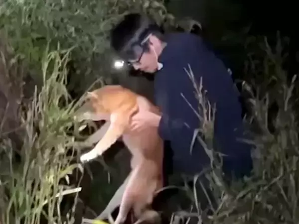 夜、川に来た2人の男性→なぜか『犬の鳴き声』がして…まさかの光景と驚きの展開が58万再生「助けてくれてありがとう」「すごい行動力」と称賛