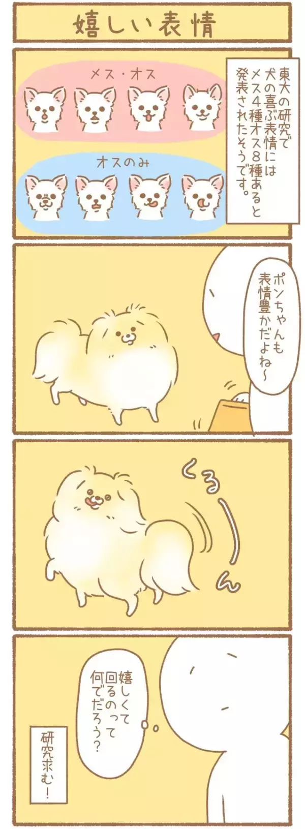 ただの犬好きです。【第348話】「嬉しい表情」
