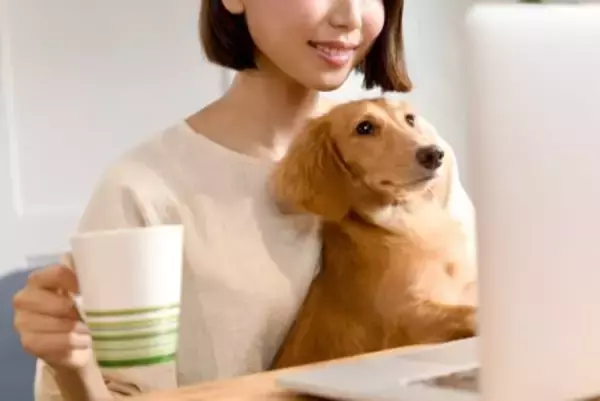 犬にとって『やりすぎなお世話』4つ　意外とやりがちな過剰なケアとは？