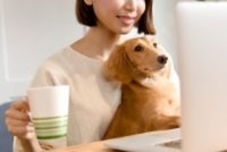 犬にとって『やりすぎなお世話』4つ　意外とやりがちな過剰なケアとは？