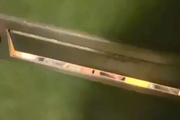 帰宅した女性が、玄関ドアのポストから中を覗いた結果→大型犬が待っていて…すぐに帰りたくなる『愛おしい光景』が165万再生「たまらん…」