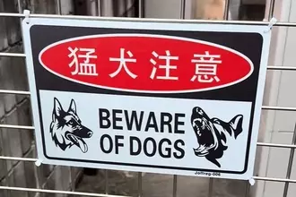 『猛犬注意の看板』があったので、覗いた結果→下の方を見ると…思っていたのと違う光景に爆笑の声「かわいすぎる猛犬ｗ」「笑いましたｗｗ」
