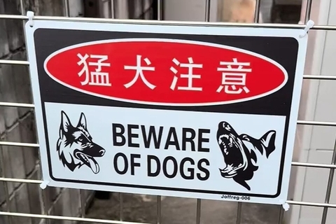 『猛犬注意の看板』があったので、覗いた結果→下の方を見ると…思っていたのと違う光景に爆笑の声「かわいすぎる猛犬ｗ」「笑いましたｗｗ」