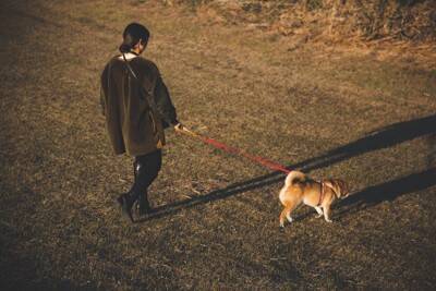 夜に犬の散歩をするときの『タブー行為』５選　絶対NGな理由や愛犬の命を守るためにすべき行動まで