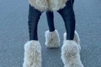 大型犬が汚れないよう『服を着せた』結果→フィットしすぎて…まさかの『脳がバグる光景』が82万再生「ひつじのショーンみたい」「笑った」