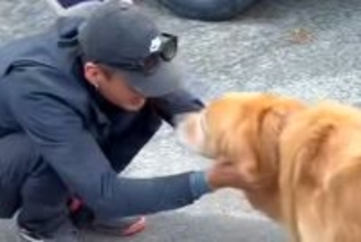 他県から工事のためにやってきた『作業員の男性たち』→散歩中の大型犬が…何度も見たくなる『尊い光景』に反響「大好きなんだね」「羨ましい…」