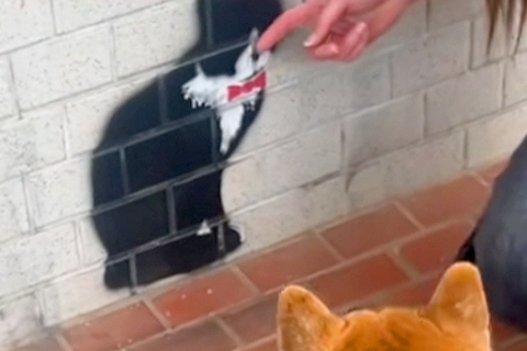 猫のことが大好きな犬→散歩中に見つけた『壁に描かれた猫』を撫でた結果…勘違いで見せた『まさかの光景』に反響「可愛い」「なんとも愛らしい」