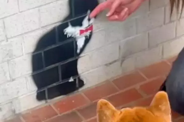 猫のことが大好きな犬→散歩中に見つけた『壁に描かれた猫』を撫でた結果…勘違いで見せた『まさかの光景』に反響「可愛い」「なんとも愛らしい」