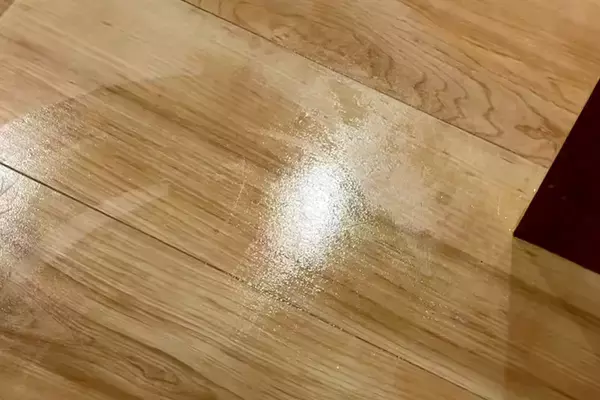 おしっこを失敗してしまった大型犬→床を掃除していたら、ひっそりと…思わずニヤける『申し訳ない表情』に反響「見方がｗ」「なんとも言えない顔」