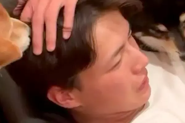 8ヶ月ぶりに帰省した息子→再会した犬たちが喜び過ぎて…まさかの争奪戦と『尊すぎる光景』が16万再生「ベッタリで草」「ヤキモチ可愛すぎｗ」