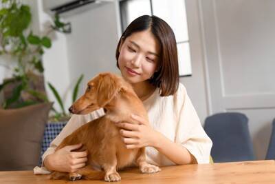 犬が『飼い主の近くに来る』心理5つ　愛犬が傍に寄ってくる理由や仲を深めるためにすべきことまで